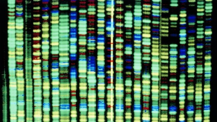 Scientists discover an inherited gene for MS